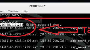 kali-linux-how-to-use-doona-picateshackz-2-300x166